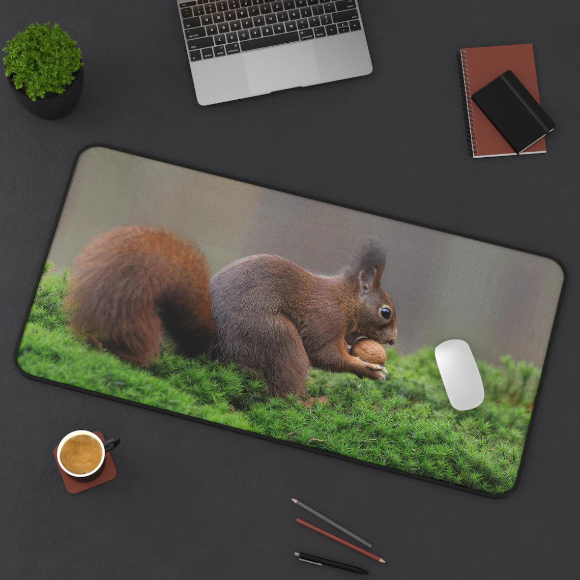 Squirrel mat 1
