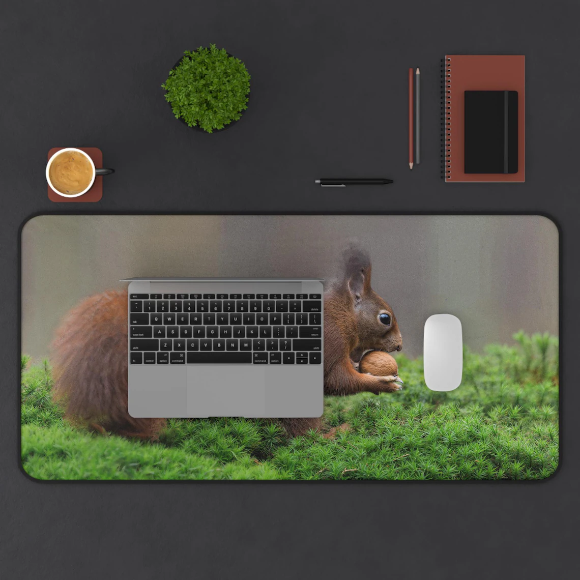Squirrel mat 2